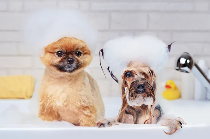 Grooming