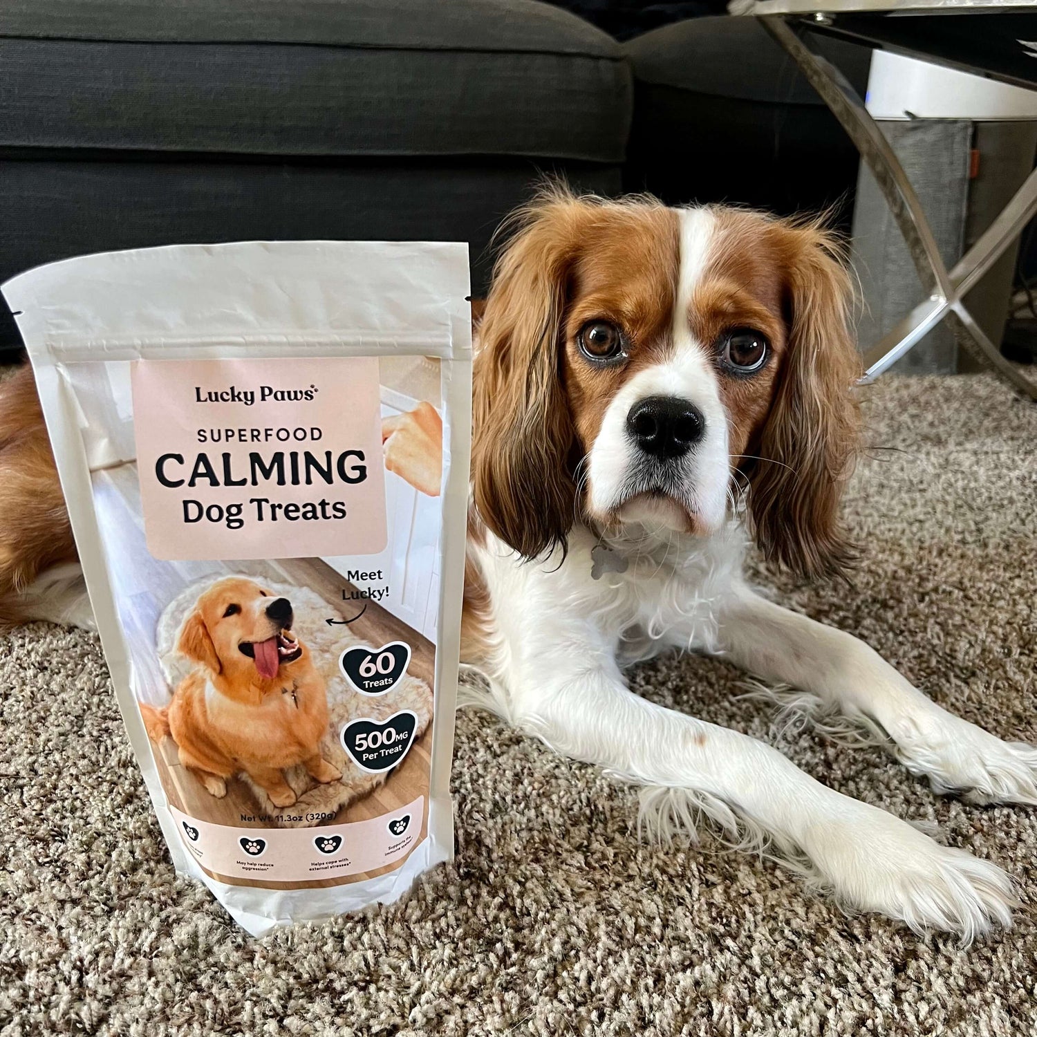 Treats