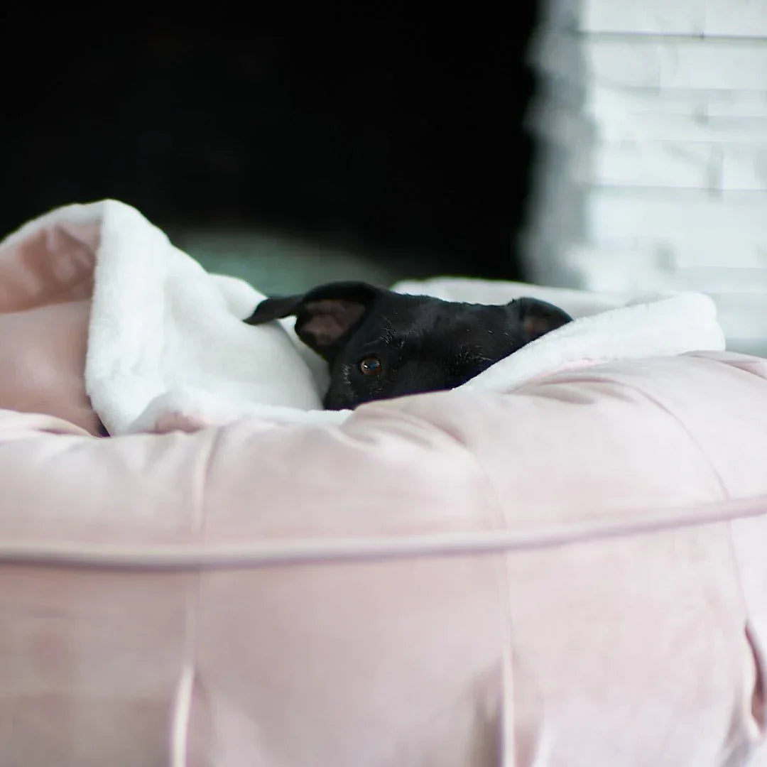 Blankets
