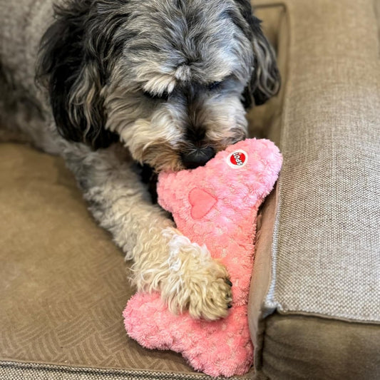 Calming Plush Dog Toy with Lavender Scent