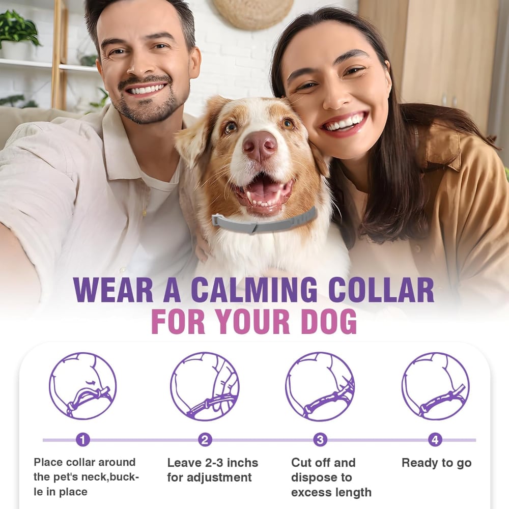 Pheromone Calming Collars for Dogs